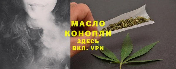 тгк Бородино