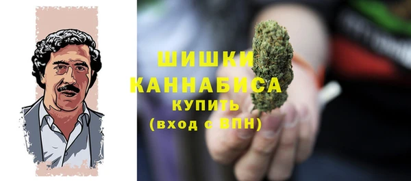 тгк Бородино