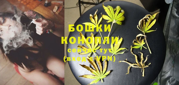 тгк Бородино