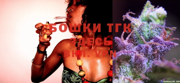 тгк Бородино