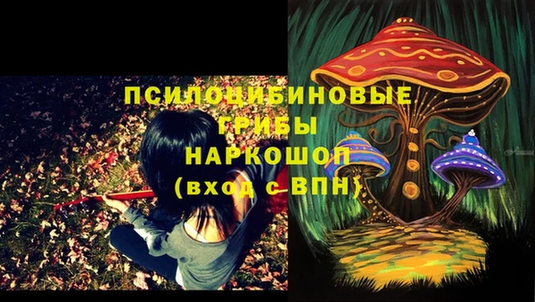 СК Бугульма